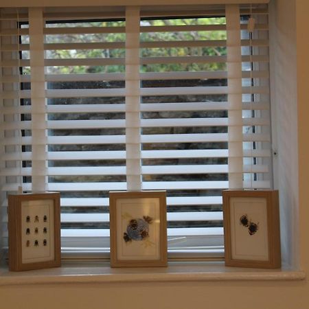 Rossett Pike Appartement Bowness-on-Windermere Buitenkant foto